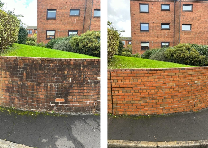 before and after brick cleaning