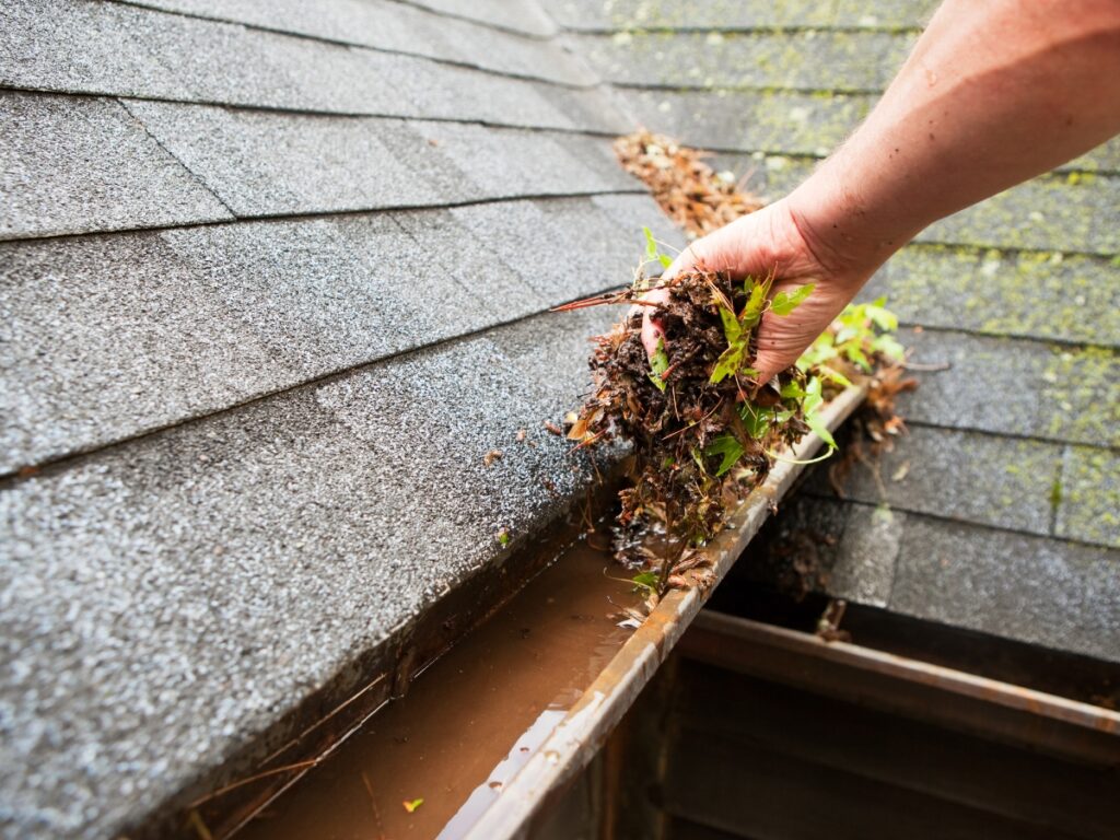 seasonal gutter cleaning